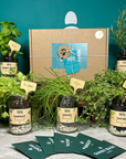 Grow Your Own Herbs Gift Set