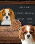 Dinner O'Clock Mat: Cavalier King Charles Spaniel Pet Bowl Mat with Royal Sass