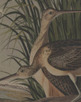 Elegant Beaded Frame Curlews Art | Flora & Fauna Collection