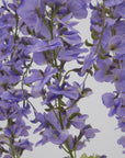 Purple Wisteria Faux Flower Stem 180 cm