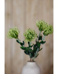 Green Pincushion Protea Faux Flower Stem