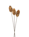 Dried Protea bouquet in earthy tones, showcasing sculptural blooms for rustic or modern home decor centerpiece. by Sostter at brixbailey.com