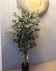 Artificial Ficus Tree Plant Variagated 110cm Tall Trees-1