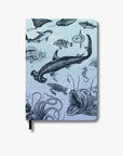 Marine Biology A5 Hardcover