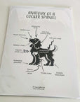 Anatomy of a Cocker Spaniel Print