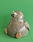 City Pigeon