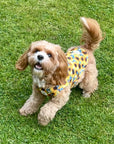 Sunflower Flutter Dog Cooling Vest