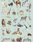Animal Alphabet Children's Wall Print