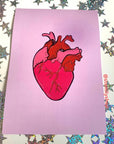 Pink and red anatomical heart hand drawn art print in A5 or A4