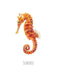 Personalised Seahorse Watercolour Fine Art Print
