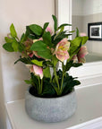 Faux Variegated Pink Hellebore in Ceramic Pot