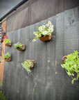 Vintage Rusty Metal Wall Mounted Planter / Herb Planter / Plant Pot / Key Holder