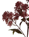 Burgundy Smokebush Stem Medium Floral Accent
