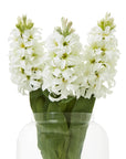 White Hyacinth Faux Stem for Effortless Home Style
