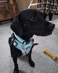 Rugged Rover™ Harness - Pastel Daisy