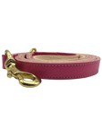 Plain Leather Dog Leashes