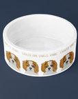 Royal Tableware: Cavalier King Charles Spaniel Ceramic Dog Bowl for Distinguished Diners