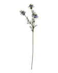 Purple Nigella Love In A Mist Stem