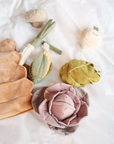 Farmer's market seven enrichment toy set