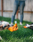 Holiday Classic Holiday Hound Turkey