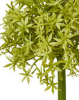 Lush Green Medium Allium Stem