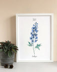 Larkspur - July Birth Flower - Watercolour Fine Art Print