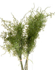 Lush artificial asparagus fern bunch in vibrant green, perfect for home decor and floral arrangements by Sostter at brixbailey.com