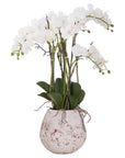 Handcrafted stone orchid planter with live orchid, 70cm tall, natural textured finish for home decor centerpiece by RoomLondon at brixbailey.com