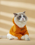 Hoodie with Slogan