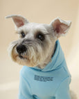Hoodie with Slogan