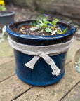 Wool Pot Scarf – Natural Snail & Slug Barrier (5m Roll, 100% British Wool)