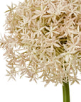 Pink Giant Allium Faux Flower Stem