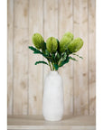 Large Natural Green Banksia Stem