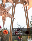 White Wedding Multi Pack: 30 Stars