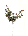 Fresh Variegated Eucalyptus Bouquet | Natural Elegance