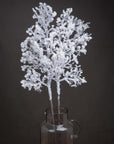 Snow Kissed Winter Branch Decoration for Indoor Display