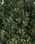 Vibrant Red-Tipped Leaf Spray | Stunning Foliage Accent