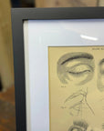 Victorian Anatomy Engraving – Antique Medical Print P