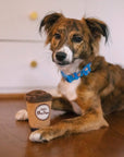 Pup Cup Cafe Doggo's Java
