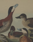 Charming Beaded Duck Linen Art | Flora & Fauna Collection