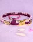 Make Your Own Dog Collar & Friendship Bracelet Craft Kit - PINK