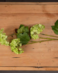 Lifelike artificial Viburnum spray with green foliage, perfect for vases, wreaths, and centerpieces. by sostter at brixbailey.com
