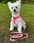 Tiny Trails Step In Air Mesh Puppy and Small Dog Harness Pink