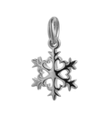 Snowflake Silver Charm