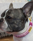 Make Your Own Dog Collar Craft Kit - PINK