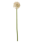 Elegant Pink Allium Stem | Medium Floral Decor
