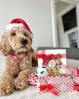 I Believe in Santa Paws Dog Biscuit Treat Box