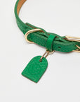 Leather Collar