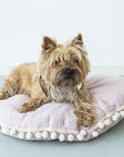 MINICAMP Dog and Cat Teepee in Pink Linen with Soft Pillow – Sizes S, M, L