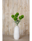 Fresh Light Green Dianthus Stem | Elegant Floral Decor